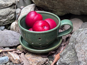 Bowl #5: