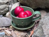 Thumbnail: Small Berry Bowl; 
          Color: Green, Blue, Oatmeal; 
          Size: 5&rdquo; x 5&rdquo; x 3.5&rdquo; 
          $30.00 each.